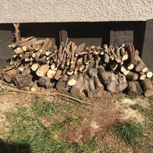 Meet your Posher, Darius